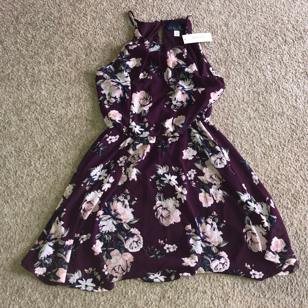 Francesca’s Dress